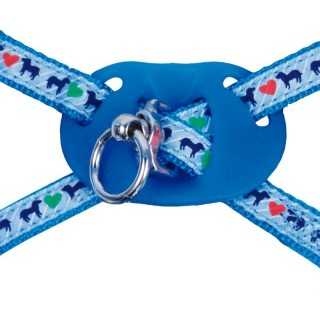 Gloria Pettorina Perro (28-41 Cm. / 10 Mm.) Azzurra