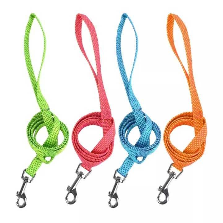 Guinzaglio In Nylon (2,5 X 120 Cm.)