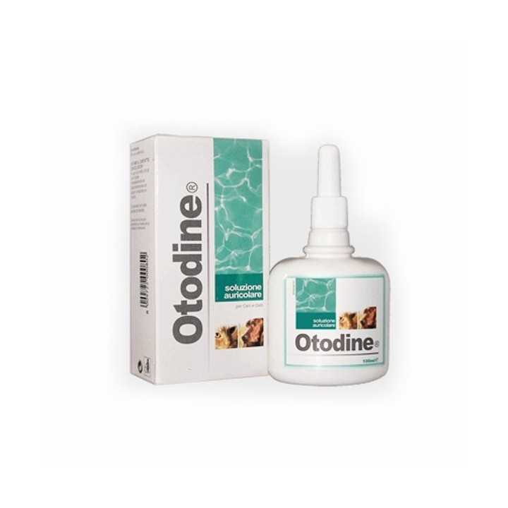 Icf Otodine Soluzione Detergente Auricolare 100 Ml.