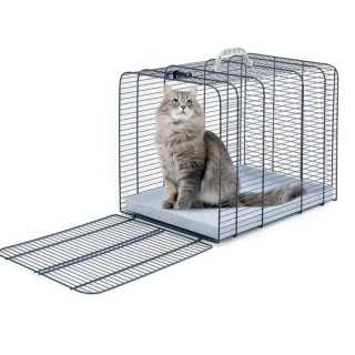 Imac Gabbia Trasporto 3 (48 X 35 X 39 Cm.)