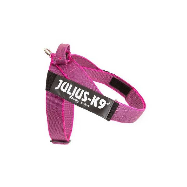 Julius-K9 Idc Belt Harness Tg.1 61-80 Cm. Rosa