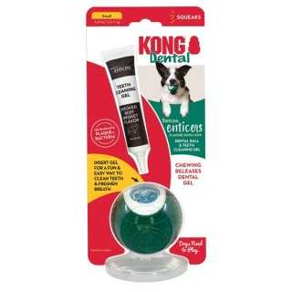 Kong Dental Ball Kit Tg. L