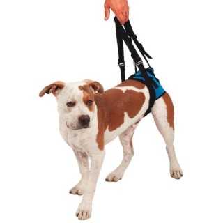 Kvp Supporto Sospensore Posteriore Tg. Xl (84-94 Cm.)