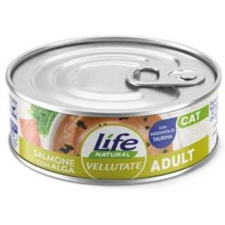 Life Cat Vellutate - Adult Salmone Con Alga 70 Gr.