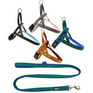 Also Parure Collare Nylon Softer 2,5 X 40-55 / 120 Cm.