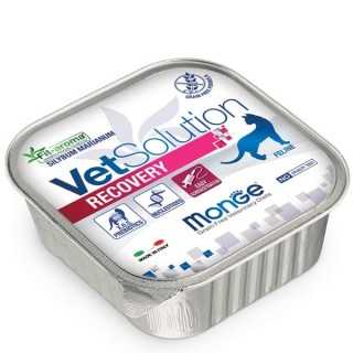 Monge Vetsolution Cat Recovery 100 Gr.