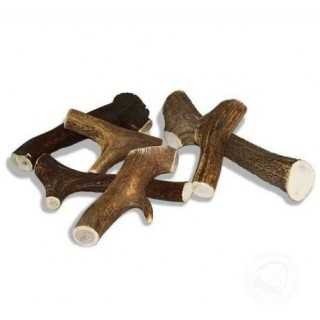 My Pet Corna Di Cervo Tg. S (20-40 Gr.)