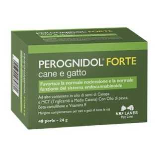 Nbf Lanes Perognidol Forte 40 Cpr.