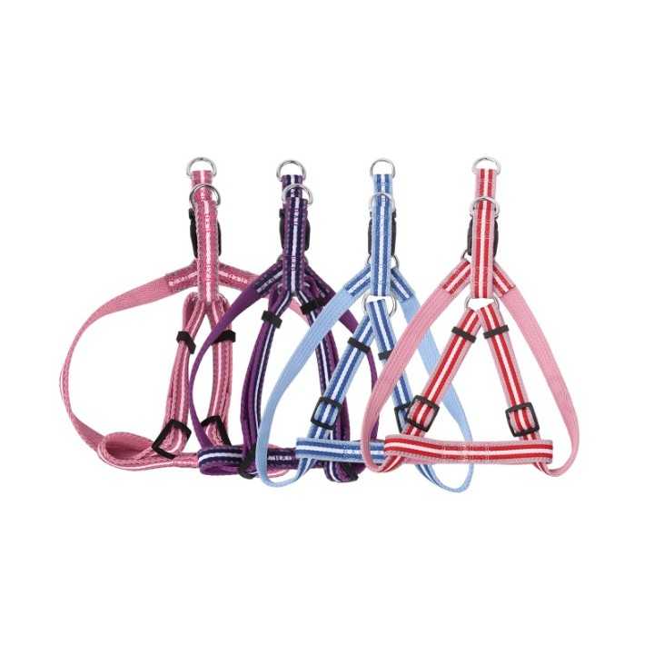 Pettorina Per Cani (2,5 X 50-70 Cm.)