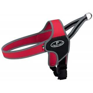 Pratiko Apollo Pettorina Tg. M (50-65 Cm.) Rossa