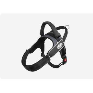 Pratiko Pettorina Alaska Tg. L (83-112 Cm.) Grigio