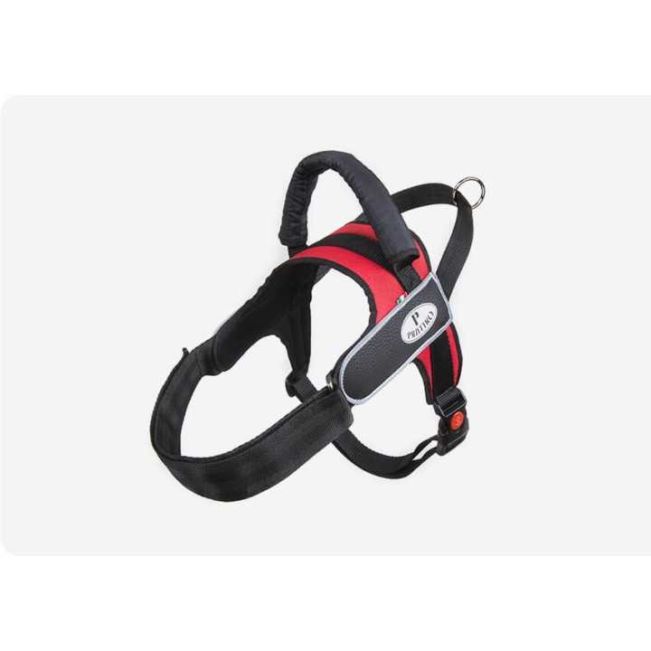 Pratiko Pettorina Alaska Tg. L (83-112 Cm.) Rossa