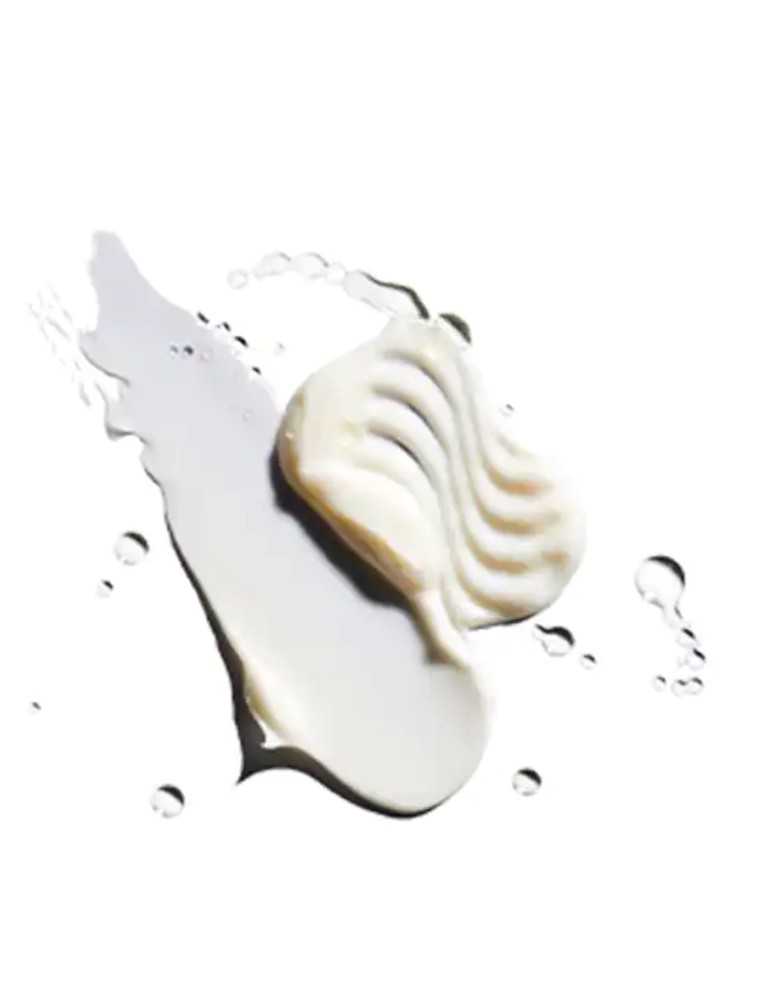 Shampoo Deep Moisture NutriPlenish 250 ml - Aveda