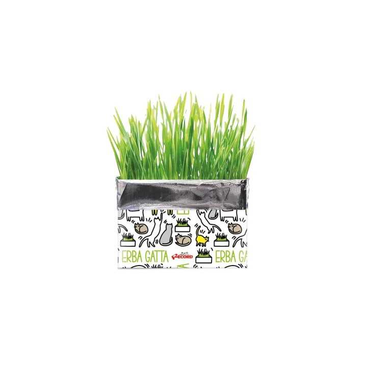 Record Atty Erba Gatta In Busta 120 Gr.