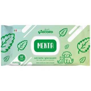 Record Salviette Detergenti Maxi Menta 40 Pz.