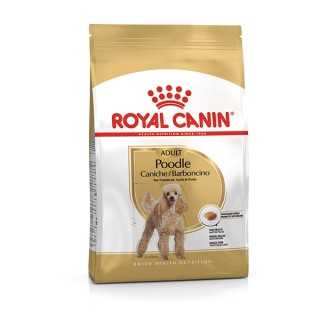 Royal Canin Adult Barboncino 500 Gr.