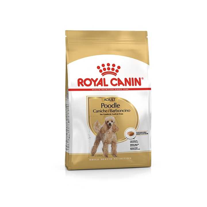 Royal Canin Adult Barboncino 500 Gr.