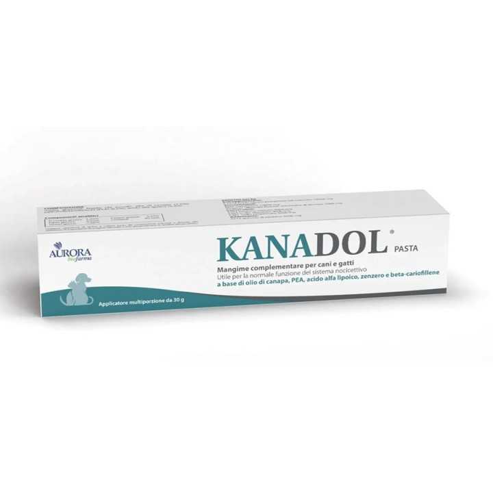 Aurora Biofarma Kanadol Pasta 30 Gr.