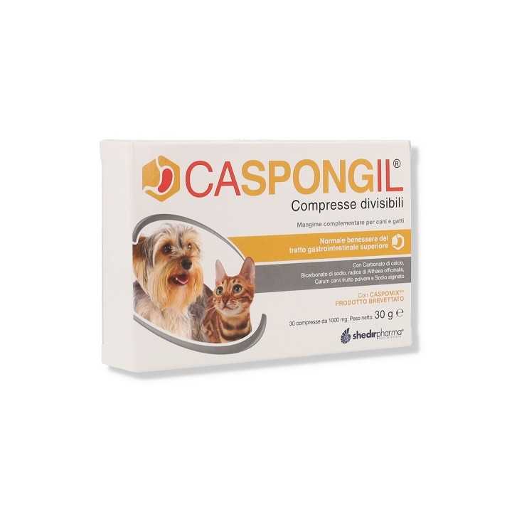 Shedir Pharma Carfogil 30 Cpr.