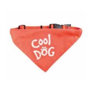 Bandana Cool Dog 25-40 Cm. / 15 Mm.