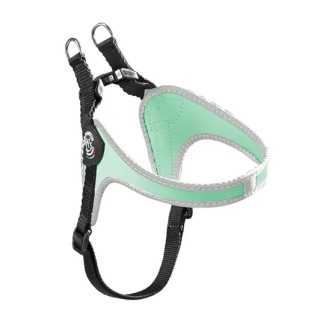 Treponti Pettorina Easy Fit Sottopancia Tg.1 (0-4 Kg.) Menta