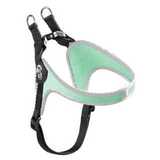 Treponti Pettorina Easy Fit Sottopancia Tg.2 (4-5 Kg.) Menta