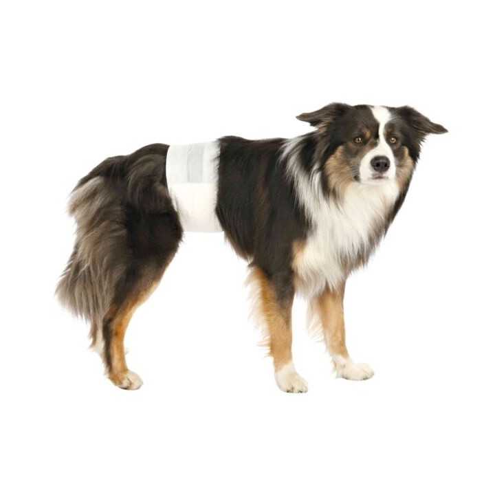 Trixie Pannolini A Fascia Per Cani Maschi Tg. Xs 12 Pz.