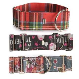 Camon Collare Semistrangolo Per Levriero Mod. Newspaper