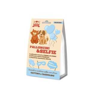 Mi Fai La Festa? Kit Compleanno Palloncini & Selfie Azzurri