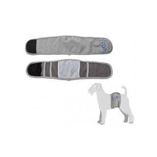 Camon Fascia Igienica Per Cani Maschi Tg. S (Diam. 36/42 Cm.) Grigia