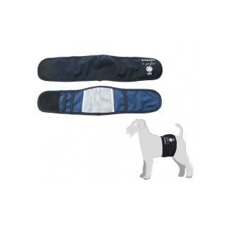 Camon Fascia Igienica Per Cani Maschi Tg. Xs (Diam. 30/34 Cm.) Blu