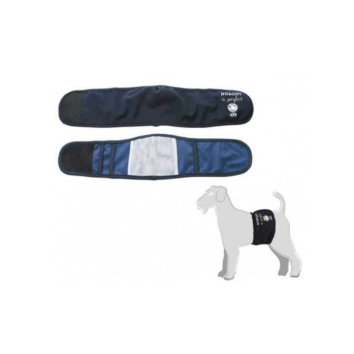 Camon Fascia Igienica Per Cani Maschi Tg. Xs (Diam. 30/34 Cm.) Blu