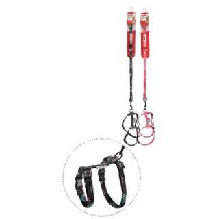 Camon Pettorina H (15 X 300-370 Mm.) + Guinzaglio (15 X 1200 Mm.) Nero/Fucsia