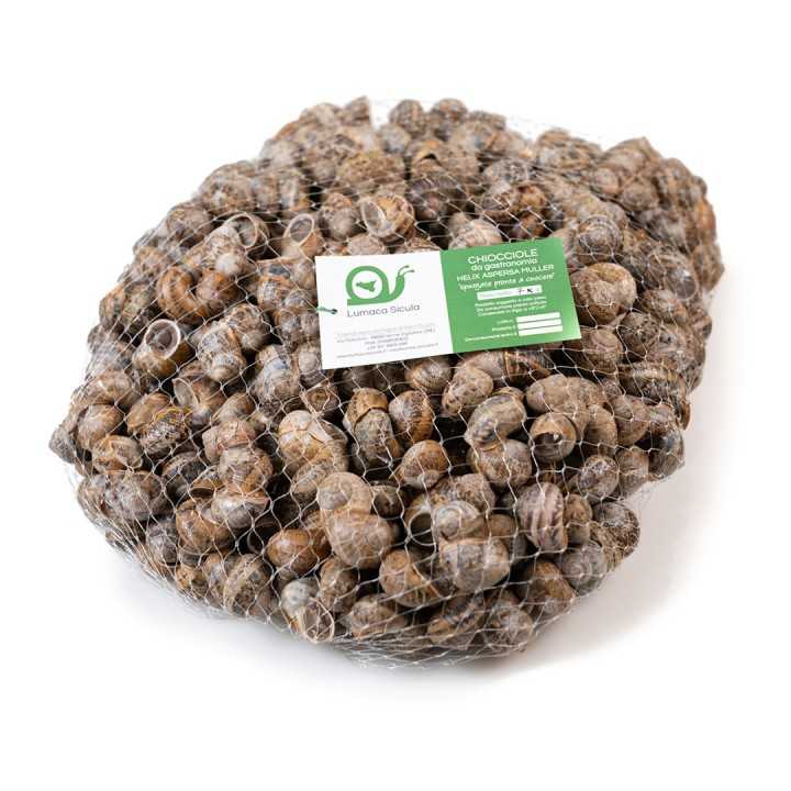 Lumache da Gastronomia – 7 Kg