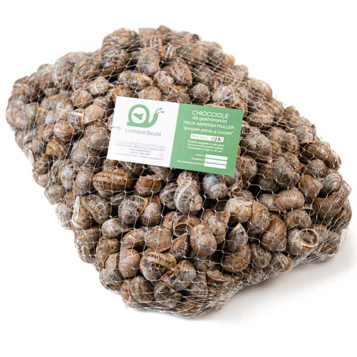 Lumache da Gastronomia – 10 Kg
