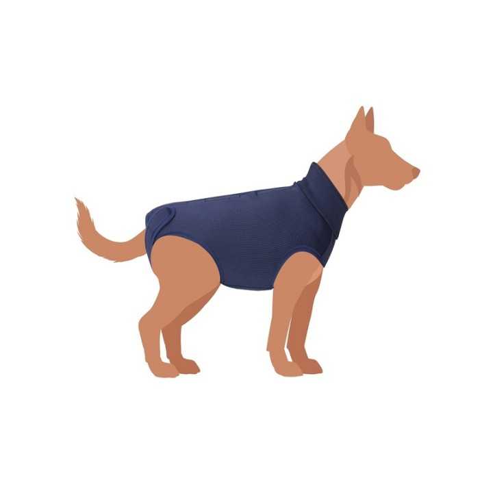 Camon Tutina Post Operatoria "Exclusive" Tg. 36 Blu