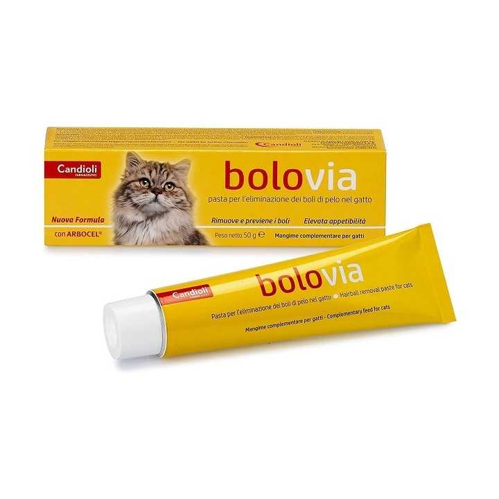 Candioli Bolo Via Pasta 100 Gr.