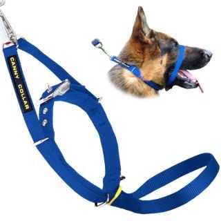 Canny Collar Cavezza Addestramento Tg.2 (28-33 Cm.) Blu