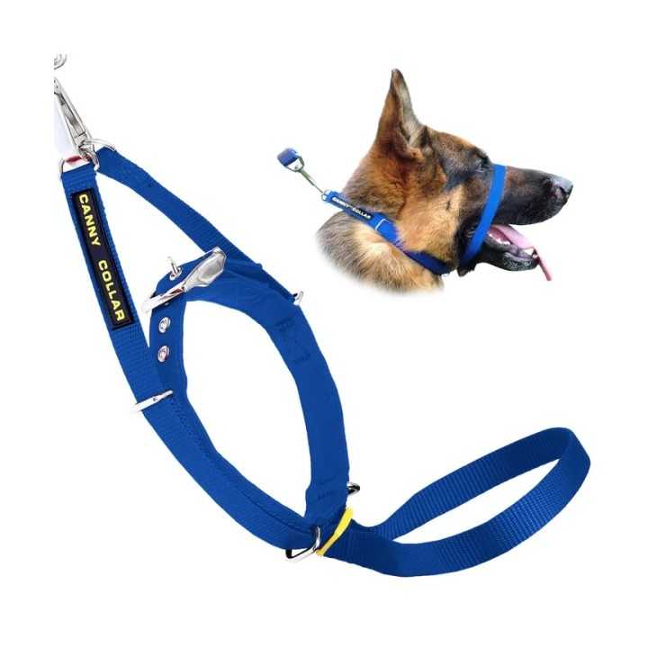 Canny Collar Cavezza Addestramento Tg.2 (28-33 Cm.) Blu