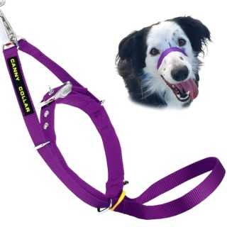 Canny Collar Cavezza Addestramento Tg.4 (38-43 Cm.) Viola