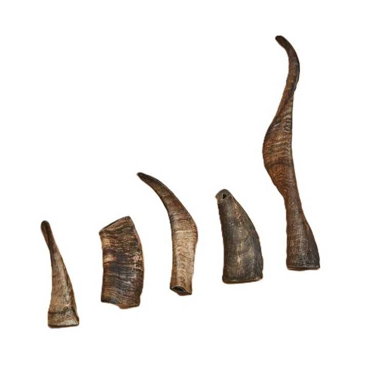 Canophera Dog Chew Corna Di Pecora Tg. L