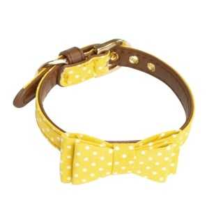 Croci Collare Pop Andy Yellow 1,5 X 35 Cm.