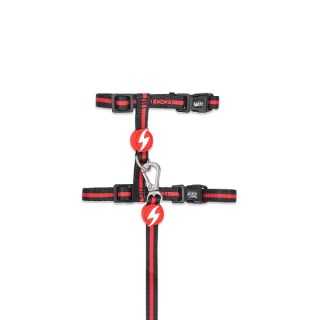 Dashi Pettorina + Guinzaglio Stripes3 Red & Black Gatto