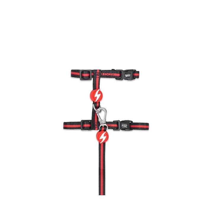 Dashi Pettorina + Guinzaglio Stripes3 Red & Black Gatto