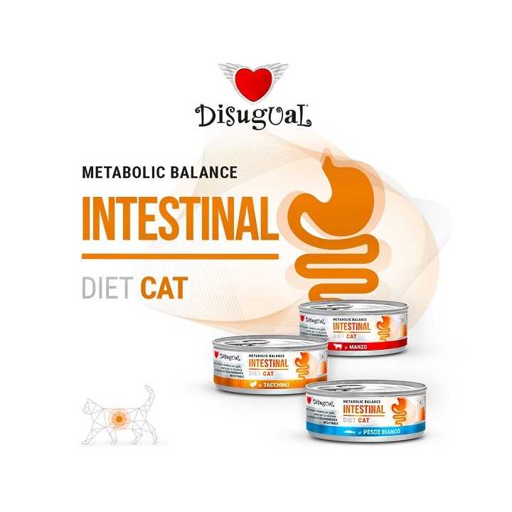 Disugual Diet Cat Intestinal Manzo 85 Gr.