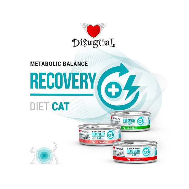 Disugual Diet Cat Recovery Coniglio 85 Gr.