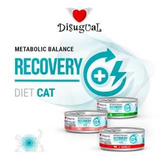 Disugual Diet Cat Recovery Salmone 85 Gr.