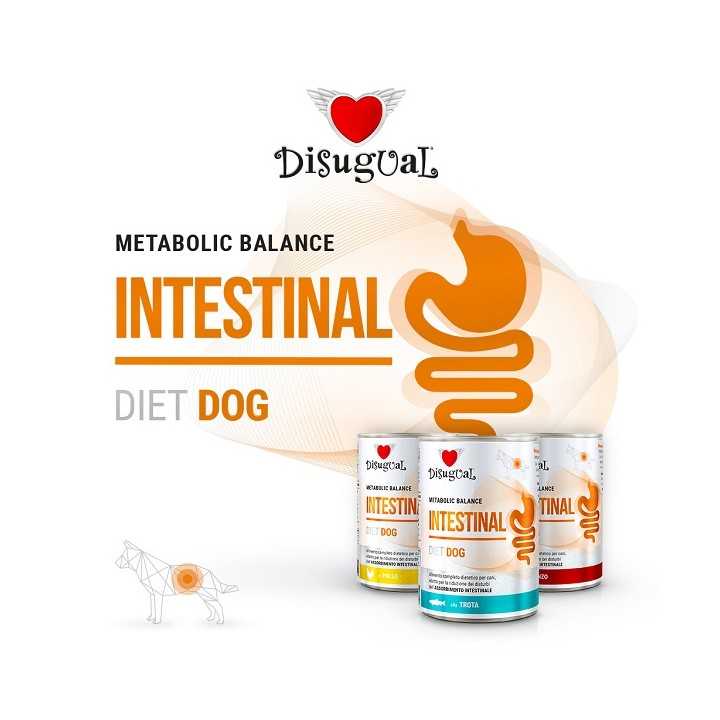 Disugual Diet Dog Intestinal Sogliola 400 Gr.