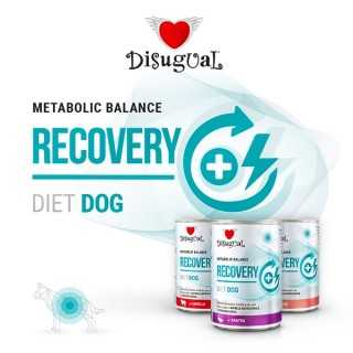 Disugual Diet Dog Recovery Sogliola 400 Gr.