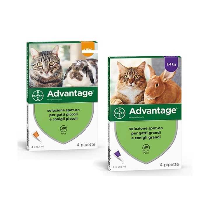 Elanco Advantage Spot-On Gatti Piccoli / Conigli Piccoli 4 Pipette Da 0,4 Ml.